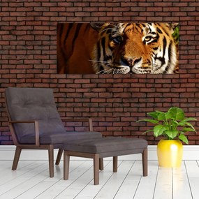 Obraz tigra (120x50 cm)