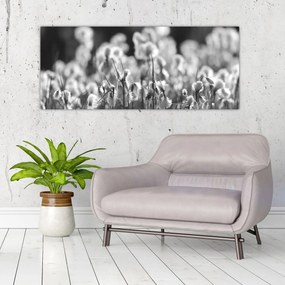 Obraz - Letná lúka (120x50 cm)