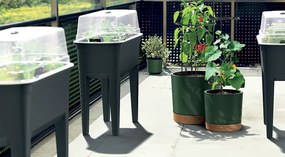 Kvetináč na pestovanie paradajok DOMÁCI PESTOVATEĽ EKO DREVO hnedý