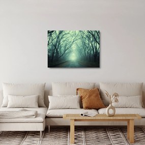 Sklenený obraz - Cesta s alejou stromov (70x50 cm)