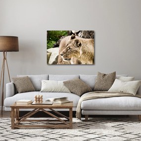Obraz levice (70x50 cm)