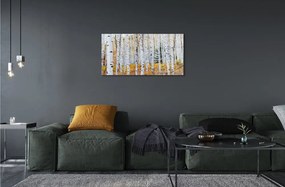 Sklenený obraz jesene breza 100x50 cm