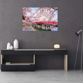 Obraz - Hirosaki, Japonsko (90x60 cm)