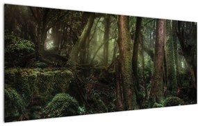 Obraz - Tajomný les (120x50 cm)
