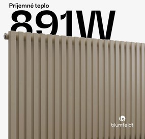 Blumfeldt Delgado radiátor | Moderný dizajn | 63 x 100 cm | 891 W | Stredové pripojenie