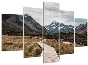 Obraz - Chodník v údolí hory Mt. Cook (150x105 cm)