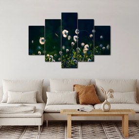 Obraz - Tráva (150x105 cm)