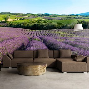 Artgeist Fototapeta - Lavender fields Veľkosť: 200x154, Verzia: Standard