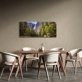 Obraz - Pod Yosemite skalou (120x50 cm)
