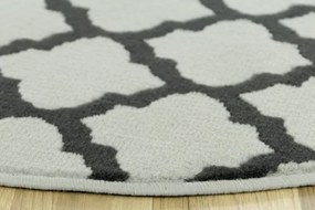 Koberec Luna 503402/89942 sivý