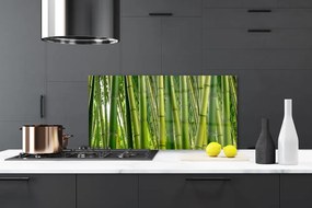 Sklenený obklad Do kuchyne Bambusový les bambusové výhonky 100x50 cm