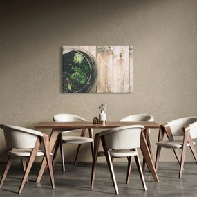 Obraz sukulentov v skle (90x60 cm)