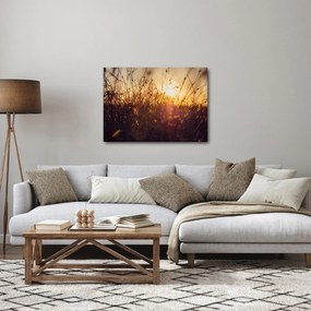 Obraz poľa pri západe slnka (70x50 cm)