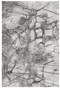 Koberec Frisee Phoenix 2,0/3,0 6057 544