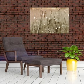 Obraz - Harmonická lúka (90x60 cm)