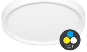 Ecolite W007-CCT/32W/BI - LED Stropné svietidlo SALY LED/32W/230V IP40 biela