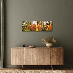 Obraz - kvety tulipánov (s hodinami) (90x30 cm)