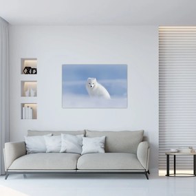 Obraz - Polárna líška (90x60 cm)