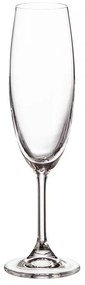 Poháre na šampanské, Crystalite Bohemia, SYLVIA 220 ml