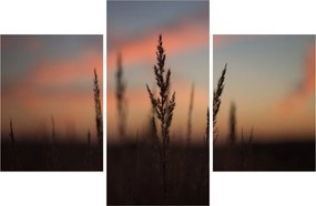 Obraz - Silueta rastliny (90x60 cm)
