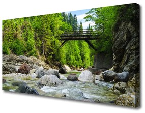 Obraz Canvas Drevený most v lese 140x70 cm