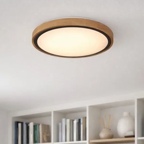 Globo 41764-12 - LED Stropné svietidlo BRUNO LED/12W/230V 307 mm 3000/4500/6000K