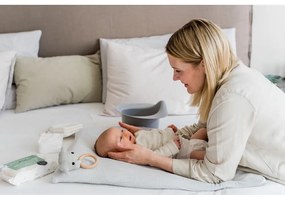 Sivý nočník - Kindsgut