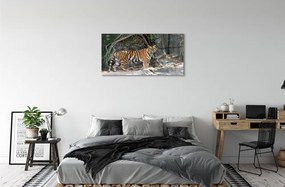 Obraz na akrylátovom skle Tiger džungle 100x50 cm