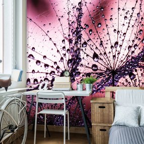 Fototapeta - Púpavy - abstraktné - fialové (152,5x104 cm)