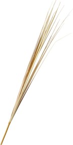 XXXLutz DEKORAČNÁ VETVIČKA škripík 85 cm - Kvety & kvetináče - 0041771512