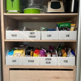 Prosperplast Úložný box, plastový 20x50x16cm - do špajzy aj do skrine KARTONPLAST - BIELY