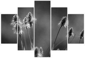Obraz - Béžová soft grass N⁰2 (150x105 cm)