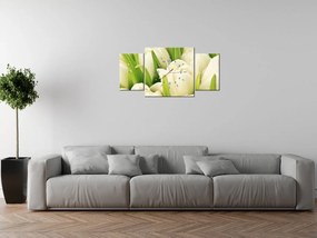Gario Obraz s hodinami Jemné tulipány - 3 dielny Rozmery: 80 x 40 cm