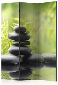 Artgeist Paraván - Serenity of nature [Room Dividers]