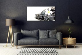 Skleneny obraz Kvety kamene umenie 100x50 cm