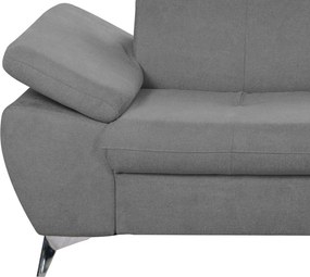 Dvojsedák Gisele, stredne šedá