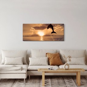 Obraz - Delfín pri západe slnka (120x50 cm)