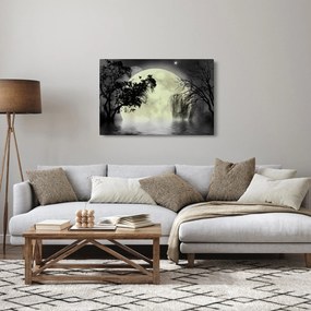 Obraz - Spln nad hladinou, čiernobiely variant (90x60 cm)