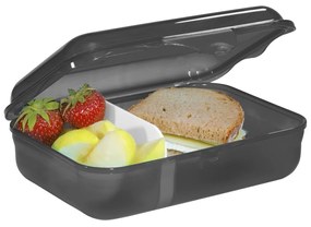 Krabička na desiatu Step by Step, Wild T-Rex Taro