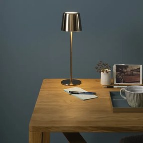 Brilliant - LED stmievateľná dotyková vonkajšia lampa XAANA LED/4W/5V IP44 zlatá