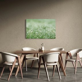 Obraz - Rosa v tráve (90x60 cm)