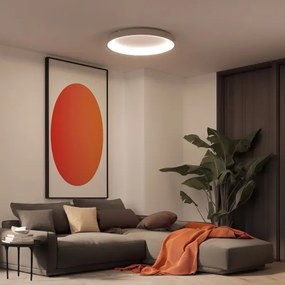 BRILAGI - LED stmievateľné stropné svietidlo FALCON II LED/108W/230V biela/béžová + DO