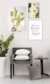 Obraz Beauty Silver