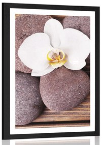 Plagát s paspartou wellness kamene a orchidea na drevenom pozadí - 30x45 white