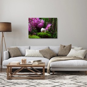 Sklenený obraz - Slimáková ulita (70x50 cm)