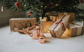 HAWS Set krhličky s kropítkom a rozprašovača Copper