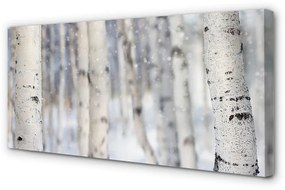 Obraz canvas Stromy v zime sneh 100x50 cm
