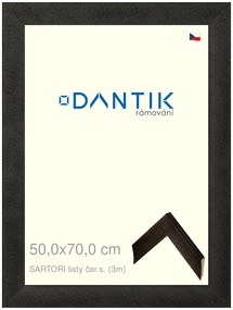 DANTIK rám na obraz 50x70 | SARTORI listy čer.s. (Plexi Čiré)