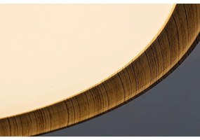 Rabalux 3500 stropné LED svietidlo
