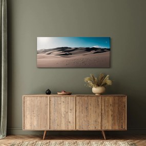 Obraz - Z púšte (120x50 cm)